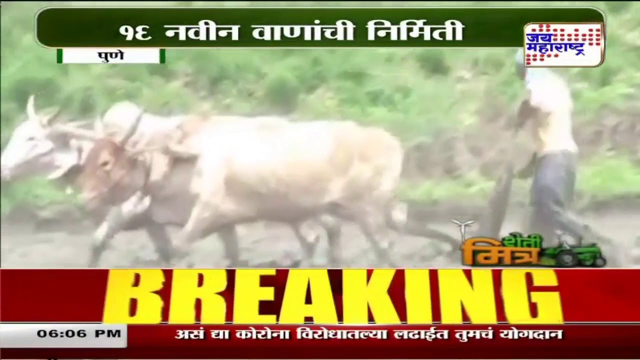 Agriculture News | १६ नवीन वाणांची निर्मिती | Marathi News