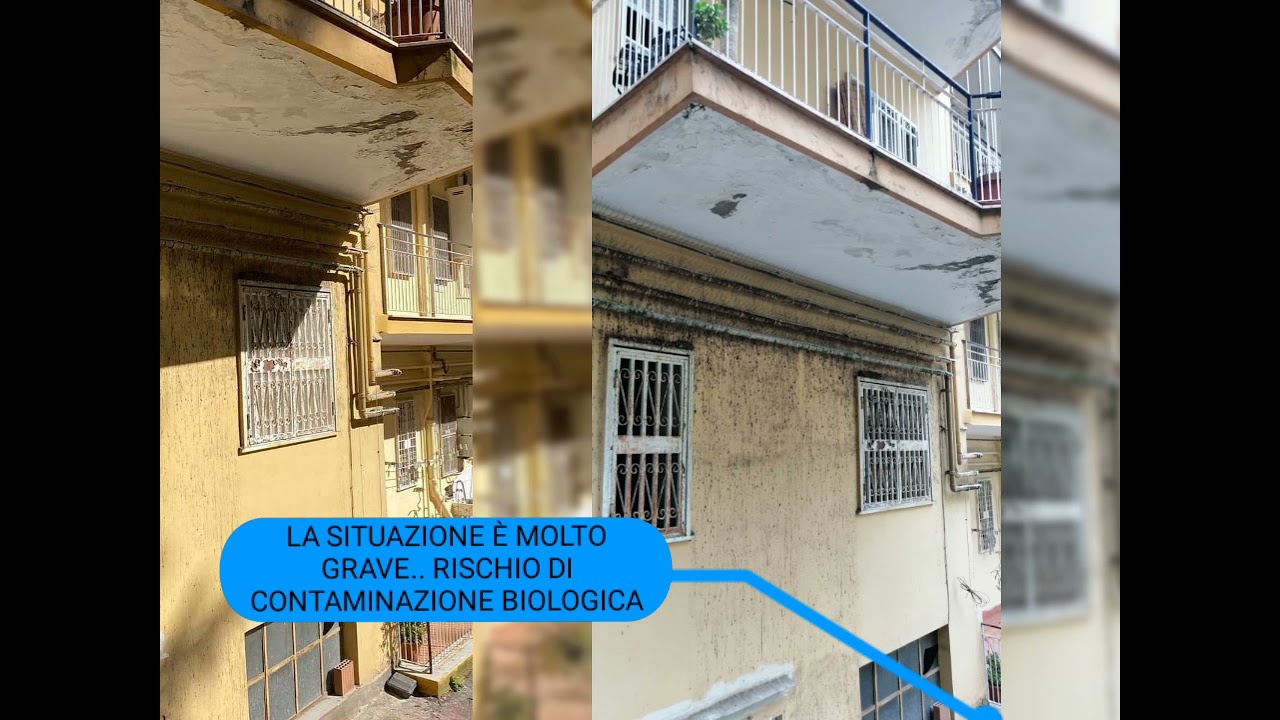 COME RIMUOVERE IL GUANO DI COLOMBI..