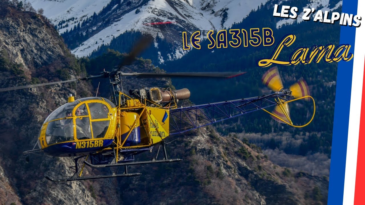 Le Lama, l'oiseau mécanique mythique en péril d'extinction - Les Z'alpins