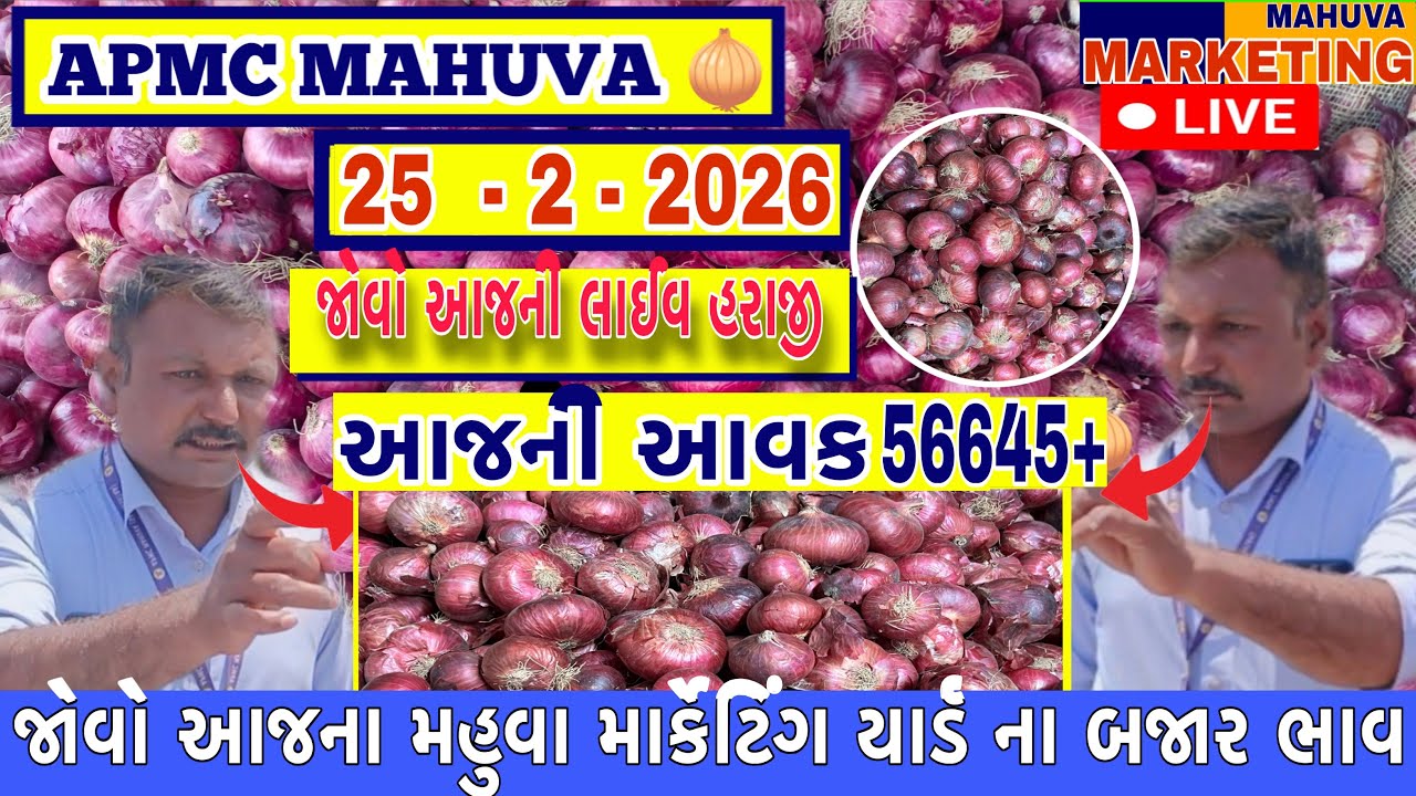 જોવો આજની લાલ ડુંગળી ની લાઈવ હરાજી | APMC MAHUVA | આજની આવક 56645+ થેલા આખી | 