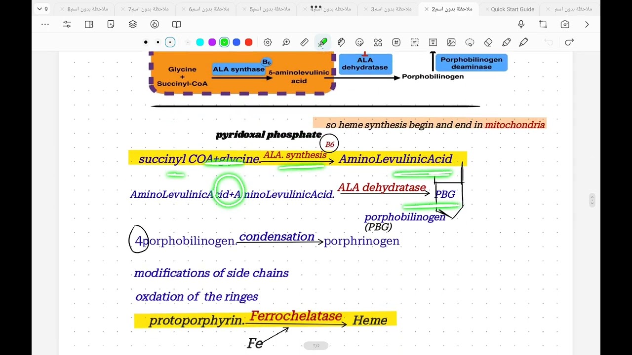 Heme Metabolism    خمسه بايو 