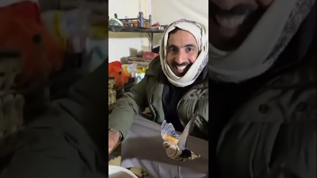 طبخ قطا وكبود ارانب في البادية السورية من  ابو سعد 🇰🇼    🇸🇾