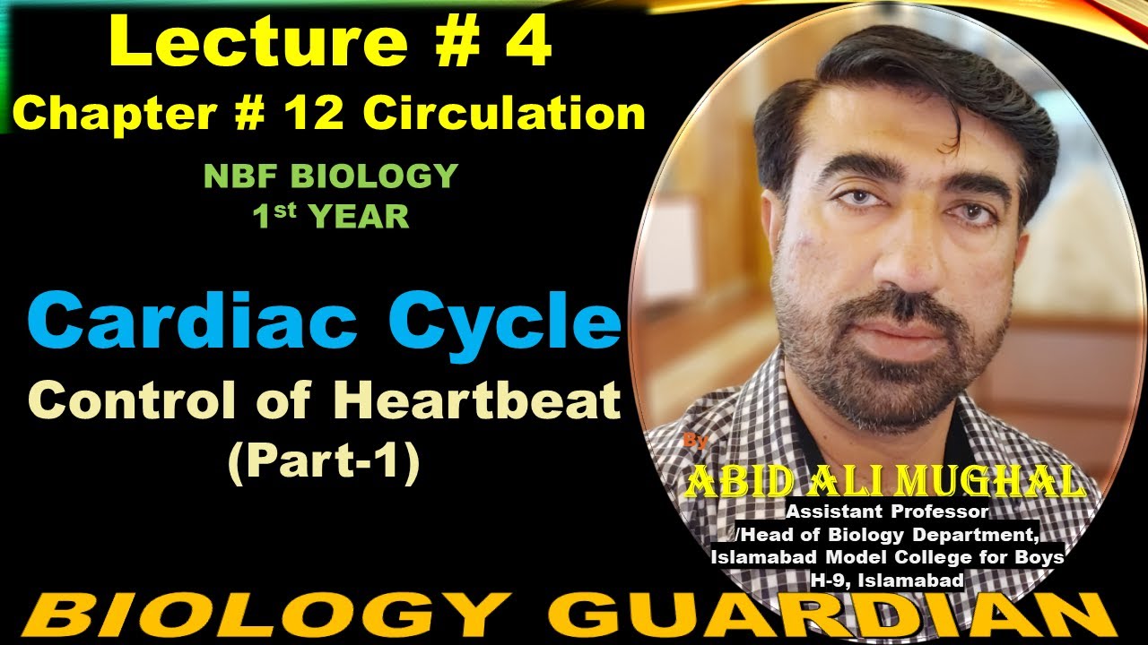 Cardiac Cycle | Control of Heartbeat | Lecture 4 Ch 12 NBF Biology-11 By Abid Ali Mughal