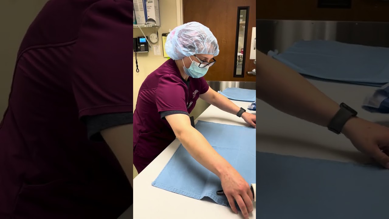 Nicole Barnhardt Skill 3 Externship 2 (Surgical Gown)