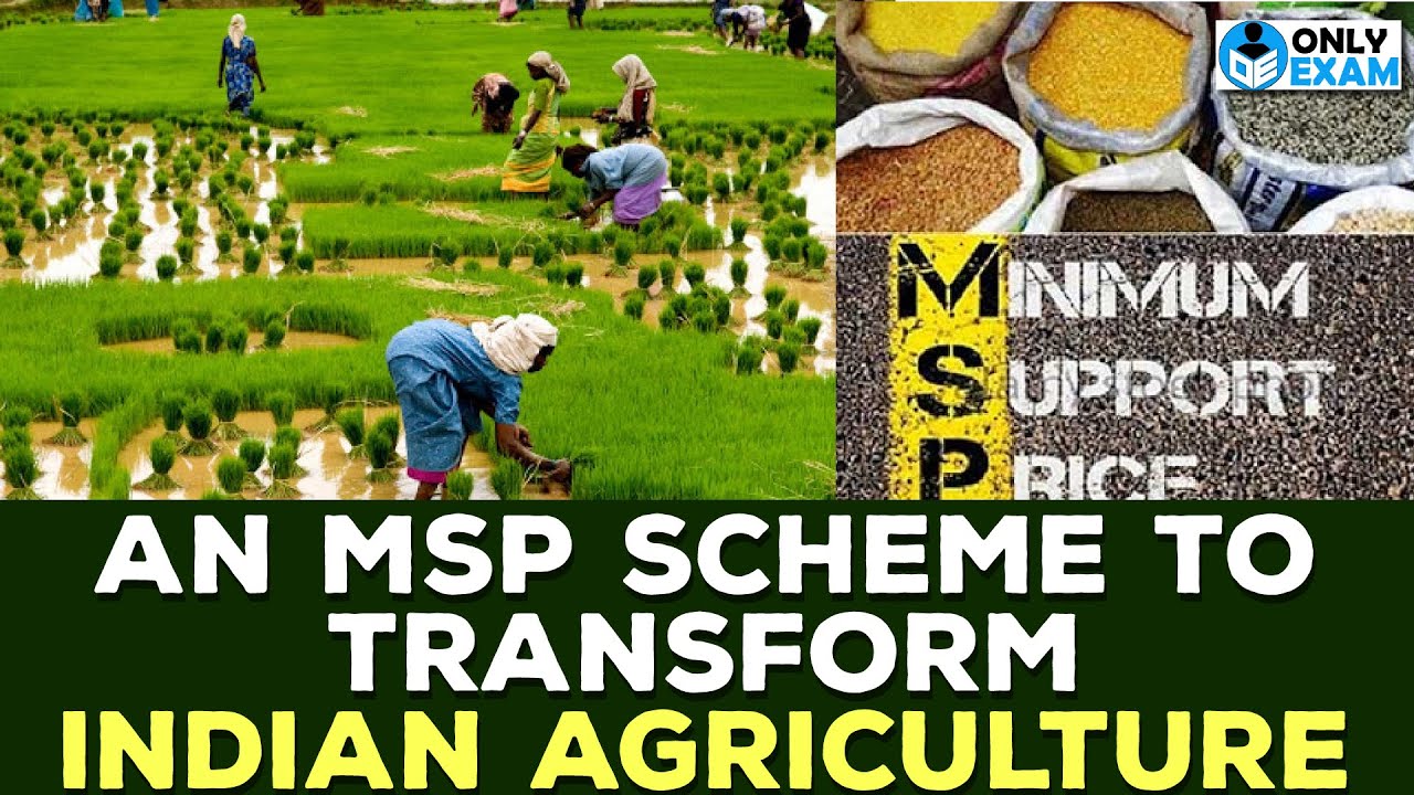 An MSP Scheme To Transform Indian Agriculture | Minimum Support Prize | UPSC | UPPCS | #ias #ips