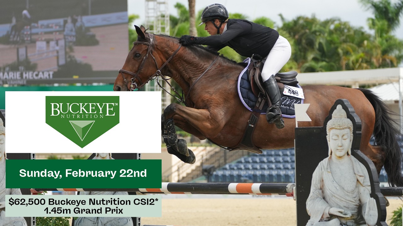 Watch the $62,500 Buckeye Nutrition CSI2* 1.45m Grand Prix