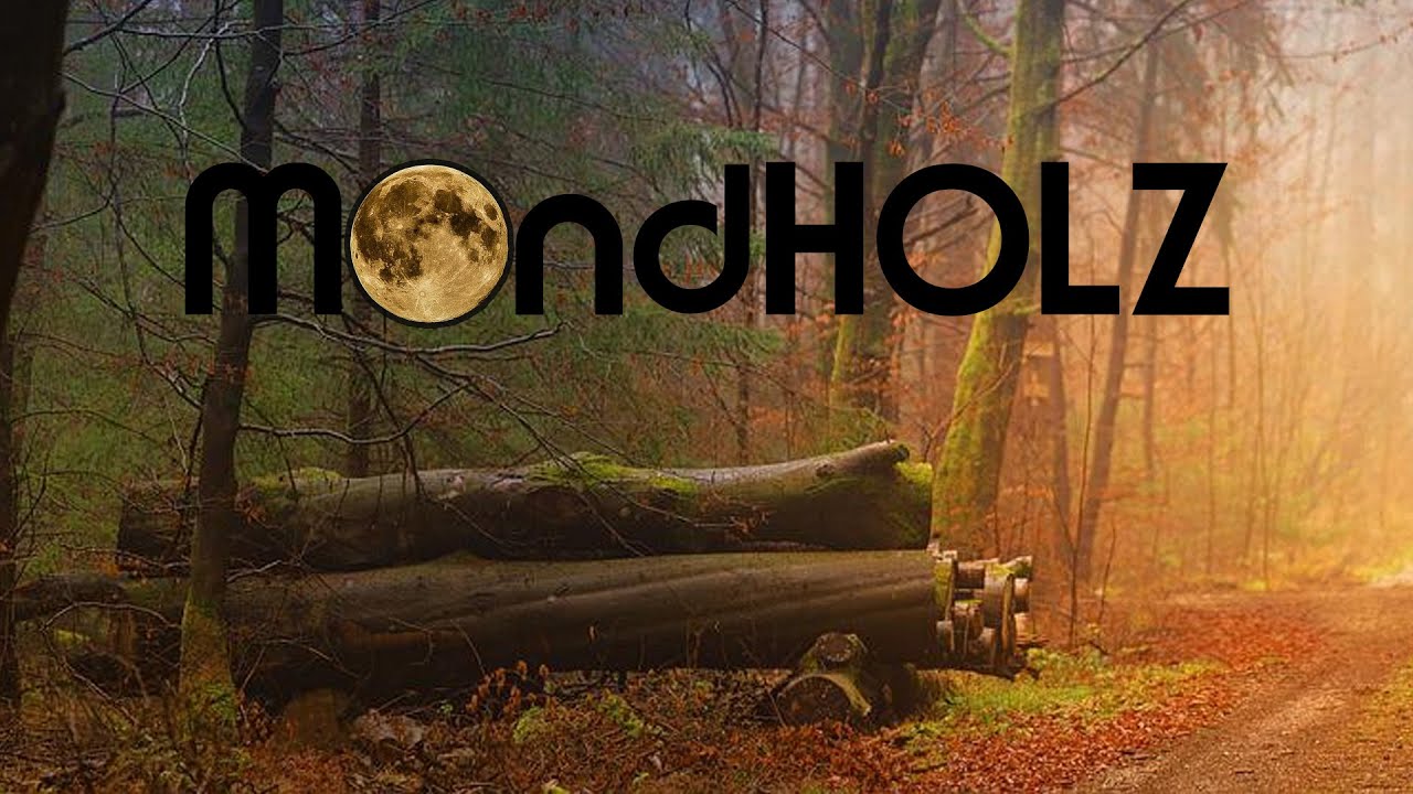 Tech-Doku_2002-Mondholz