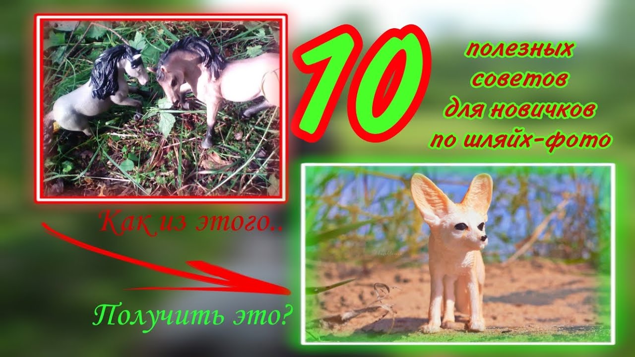 10 НУЖНЫХ СОВЕТОВ для новичков по ШЛЯЙХ-ФОТО ✅