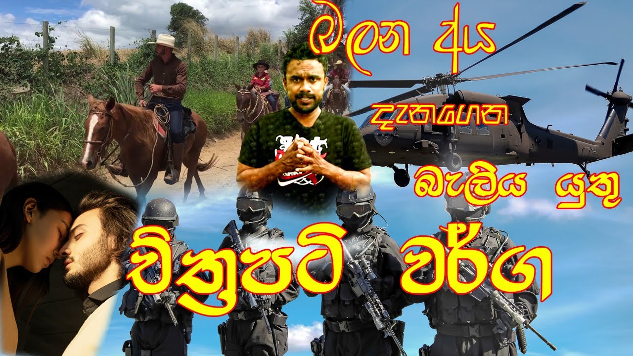 ඔබ දැන බැලිය යුතු චිත්‍රපට වර්ග /Films Genres/Film making/ Sinhala