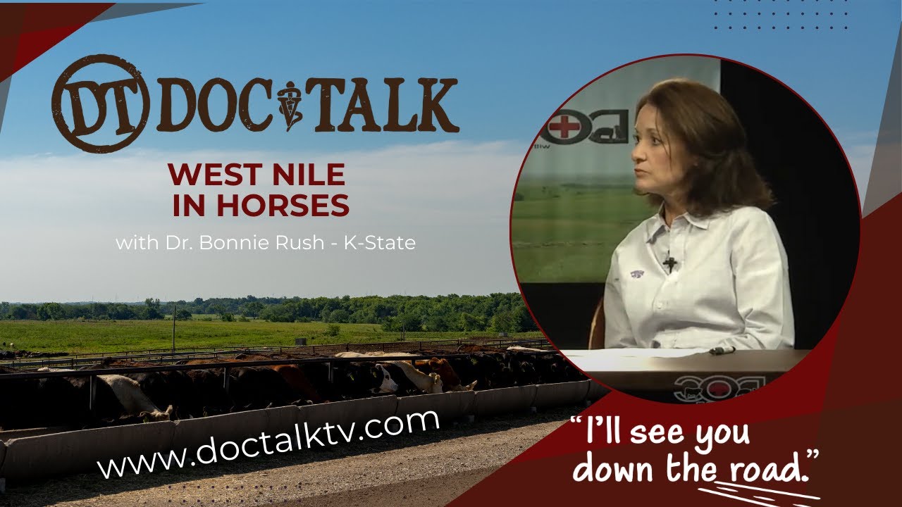 DocTalk Ep 15 - West Nile in Horses