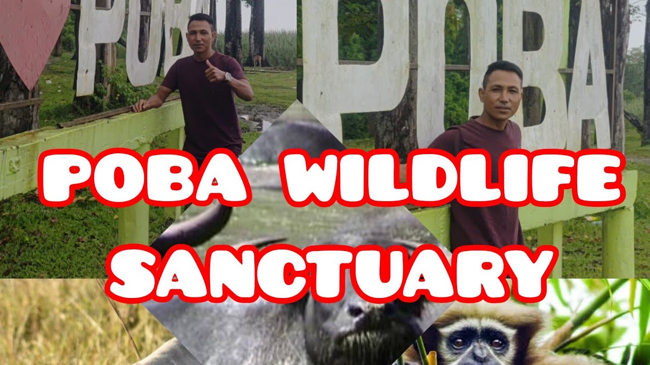 POBA WILDLIFE SANCTUARY # POBA RESERVE FOREST # JONAI, DHEMAJI ASSAM INDIA 