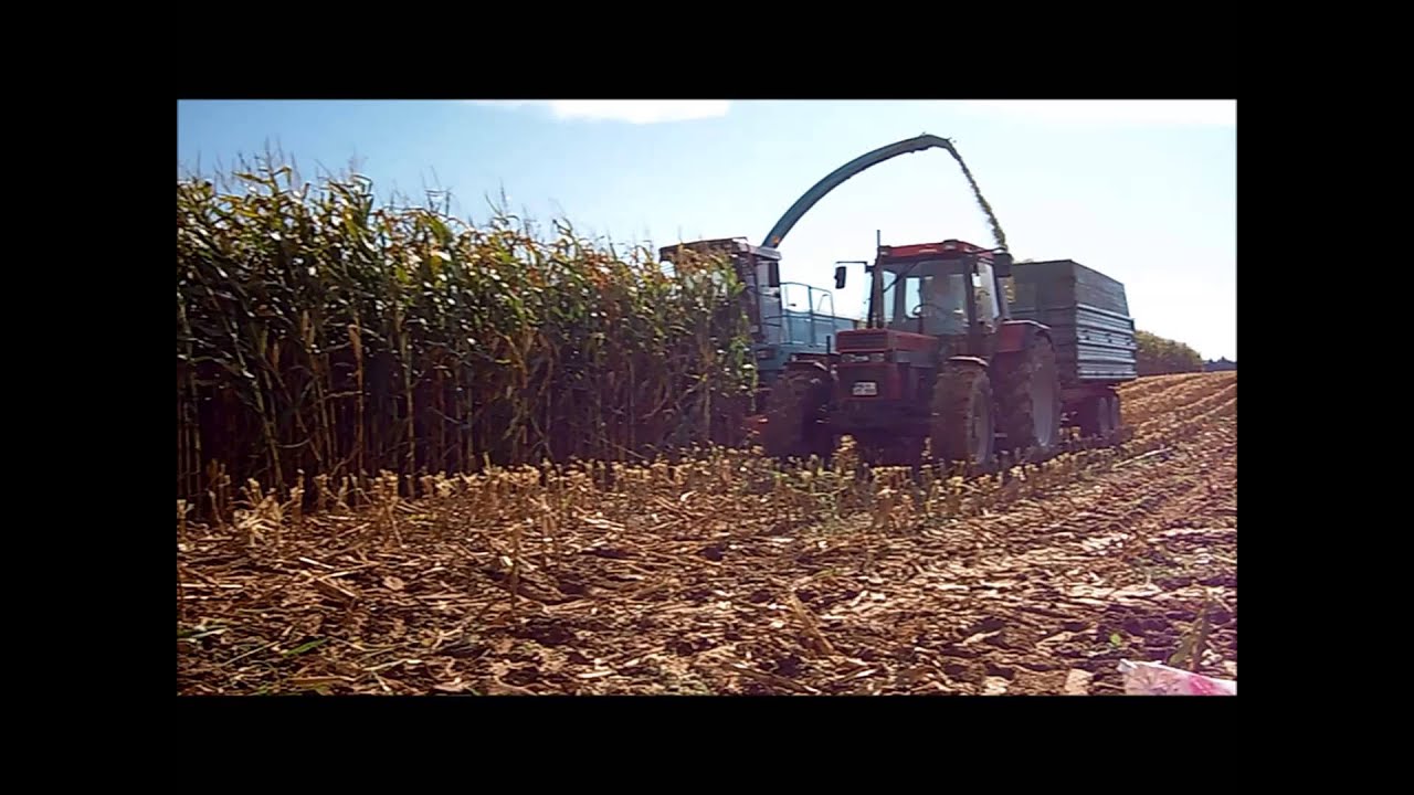Maishäckseln 2012 -- Teil 2 mit Mengele Mammut, Case IH und Schlüter [HD]