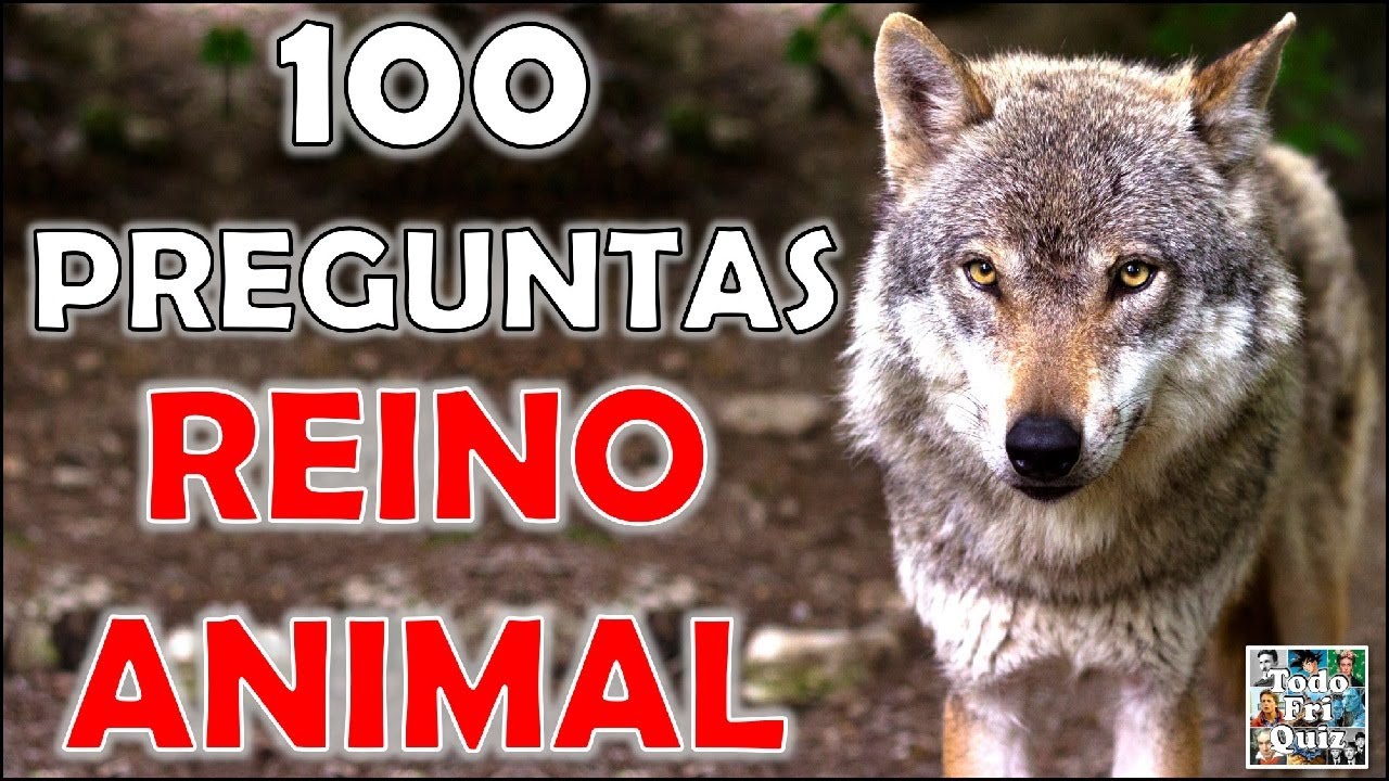 100 PREGUNTAS de 