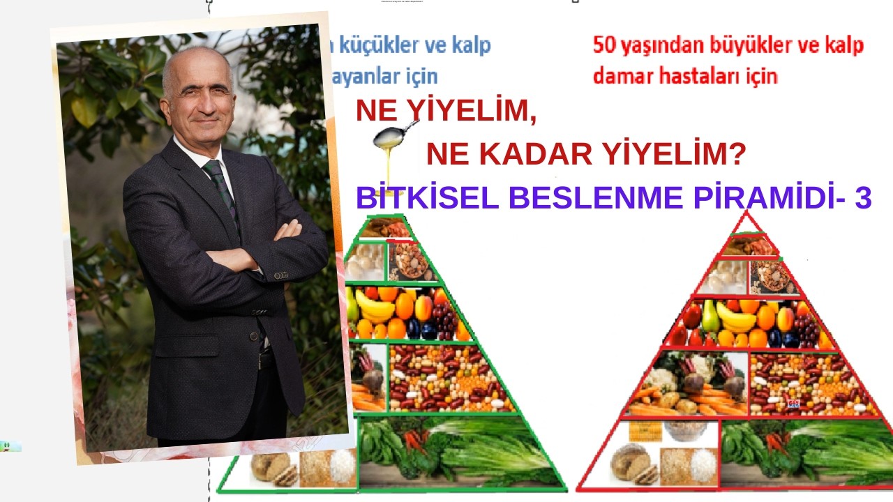NE YİYELİM, NE KADAR YİYELİM? KINIKOĞLU BESLENME PİRAMİDİ - 3