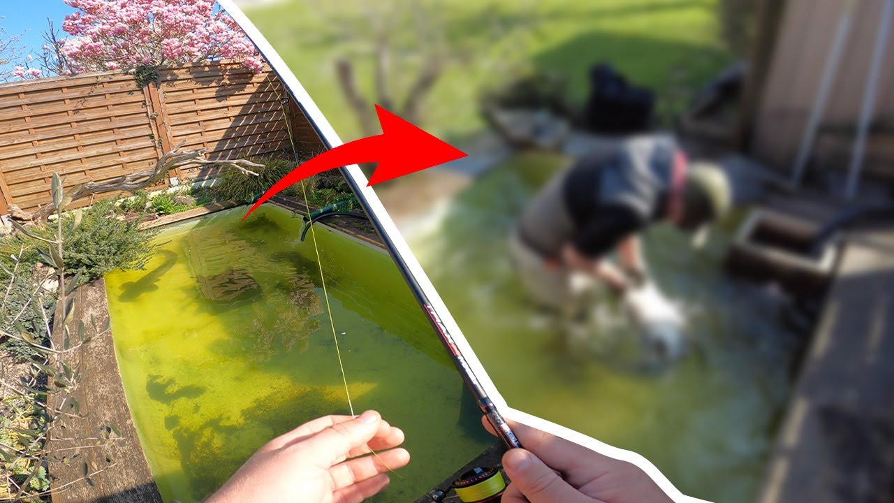 P&Ecirc;CHE INSOLITE, il a un SILURE dans son JARDIN! je TENTE de l'ATTRAPER &agrave; la MAIN (ouverture brochet)