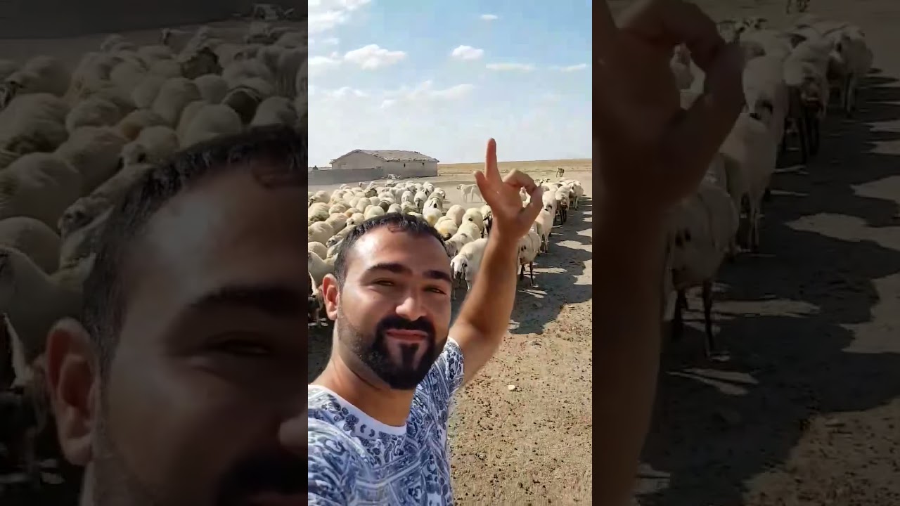 Xalko- Tuzcular Çiftliği.