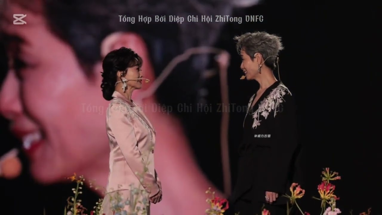 [Vietsub Tổng Kết 2024 ]  Triệu Nhã Chi Diệp Đồng - ZhiTong 芝童 [PART 02]