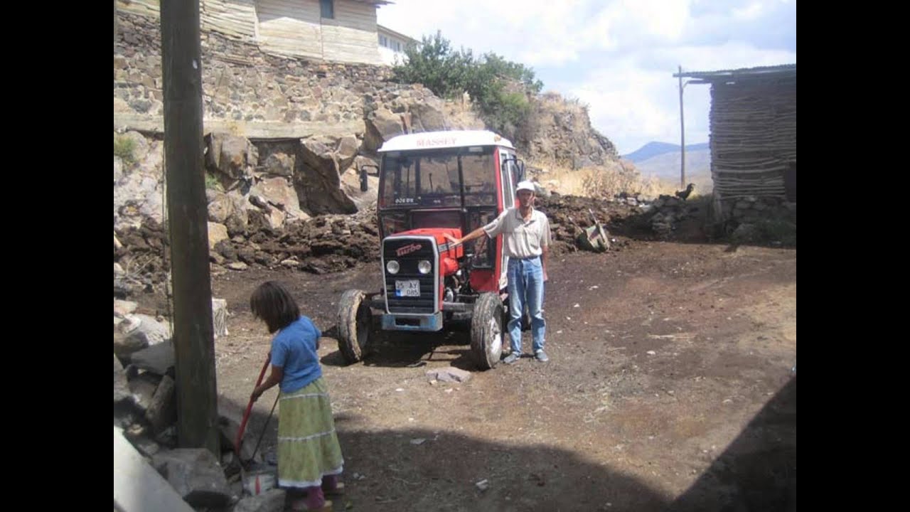2006 CESITLI KARAKOC RESIMLERI