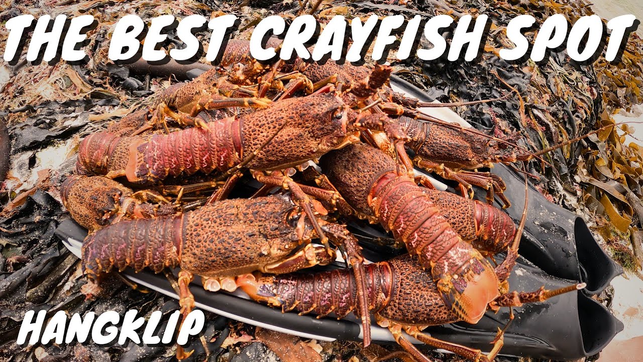 Awesome Crayfish experience! - Hangklip, Western Cape