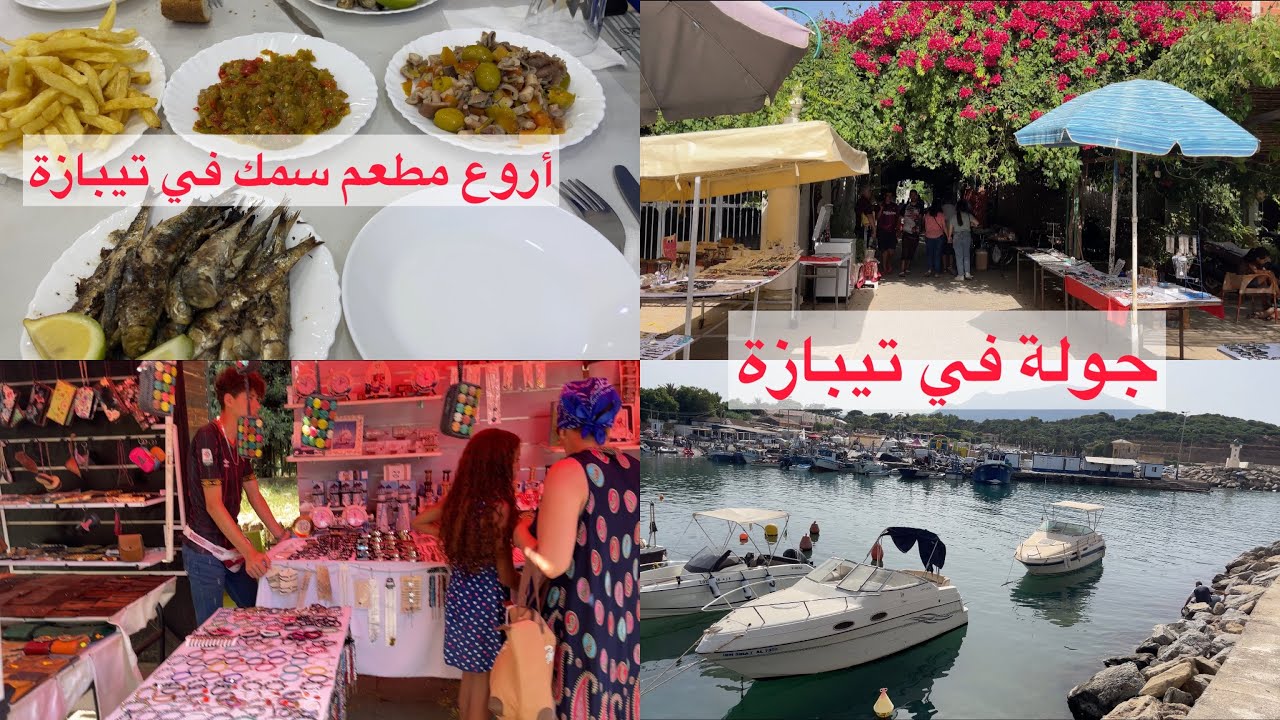 أجمل تحويسة في تيبازة و شرشال 🏖 الله يبارك على بلادي