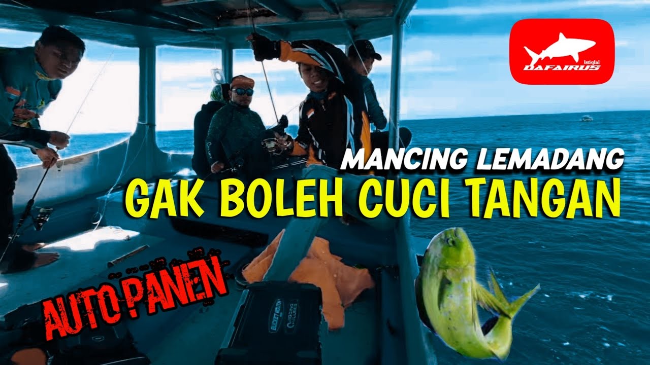 TUTORIAL MANCING IKAN LEMADANG‼️ cara memancing ikan mahi mahi