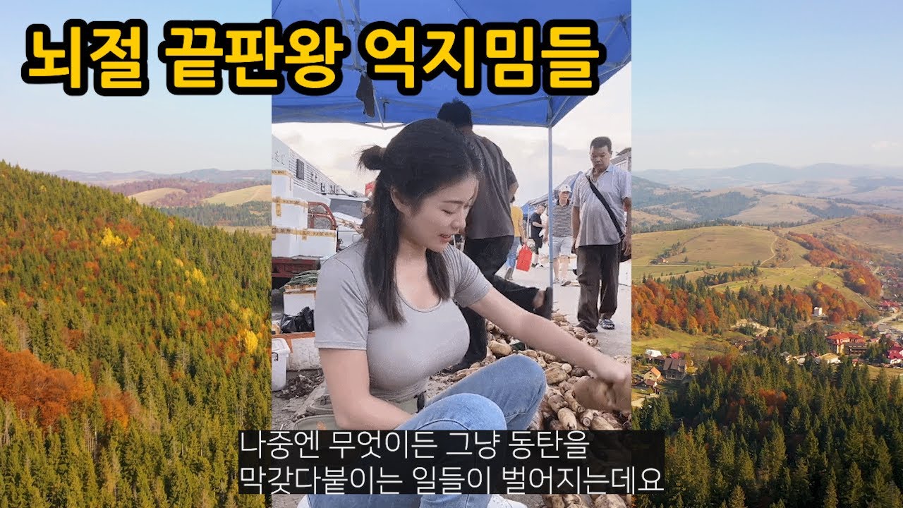 1절에 2절에 명절에 큰절에 카카시 뇌절까지 했던 억지밈들