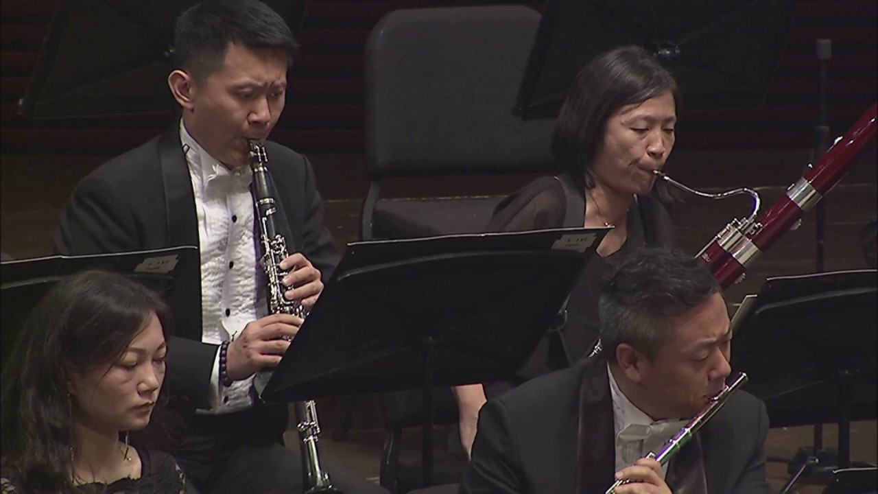 Wildner-Shenzhen-Brahms-Haydn_Variations_op_56a-1080p_48kHz.mkv