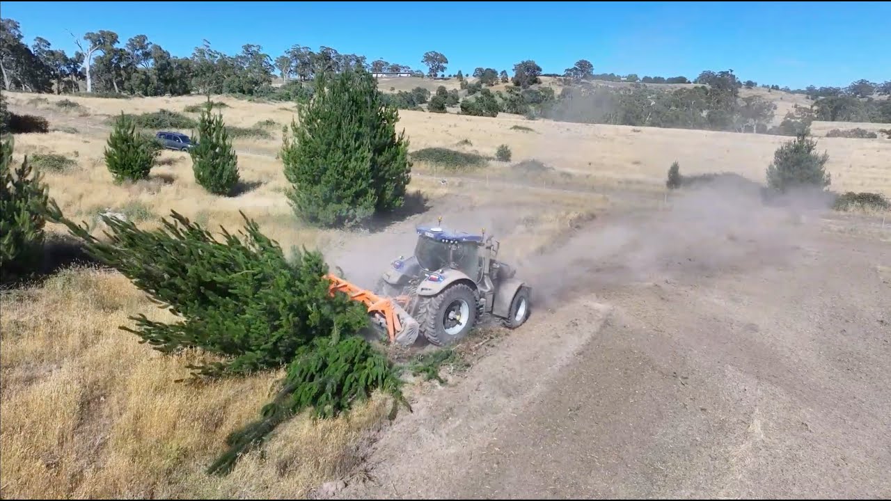 TMC CANCELA TFT-250 FORESTRY MULCHER - AUSTRALIA
