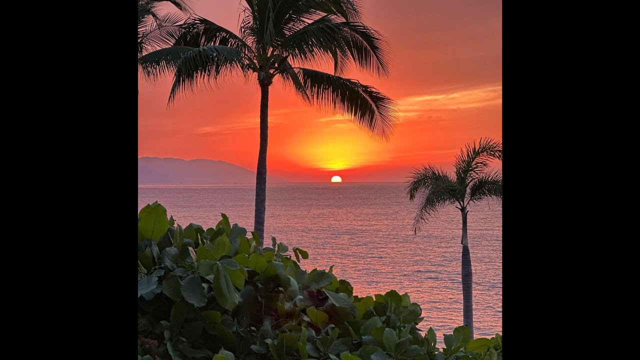 (FREE) WIZ KHALIFA X SLEDGREN X CARDO TYPE BEAT - 