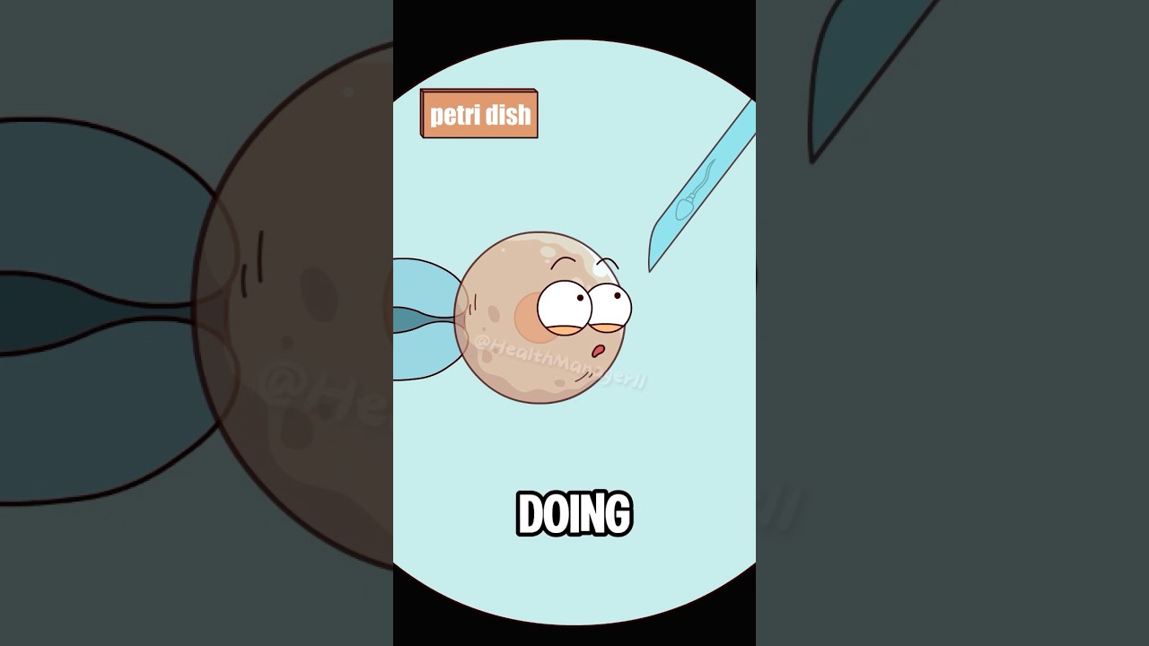 How are IVF babies born?#shorts#funny #hot