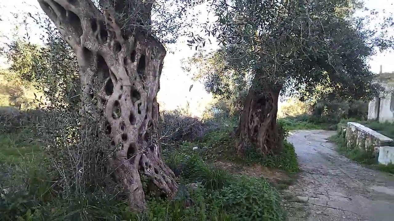 Κορακαδες Νότια Κερκυρα .korakades village south east side of corfu