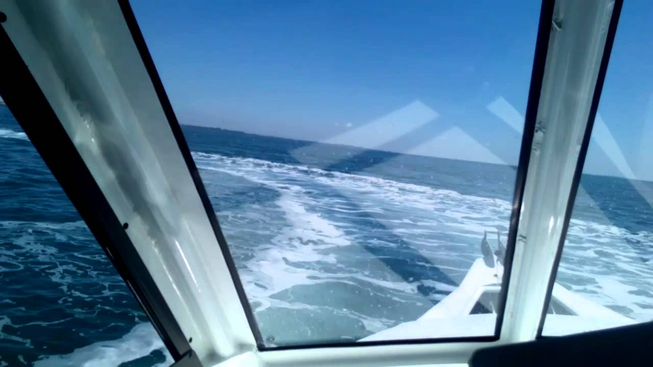 SeaAdex Armour 55