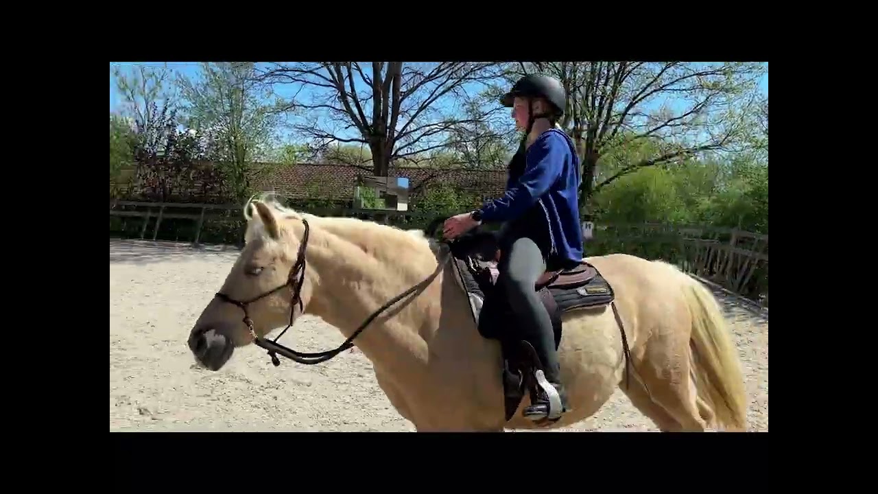 „Gebisslos glücklich! So fein kann Reiten ohne Gebiss sein 🐴✨“