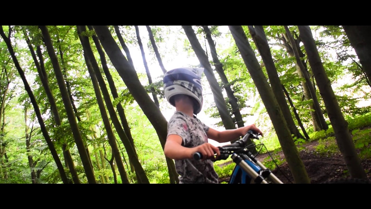 Summer Vibes - TrailLove