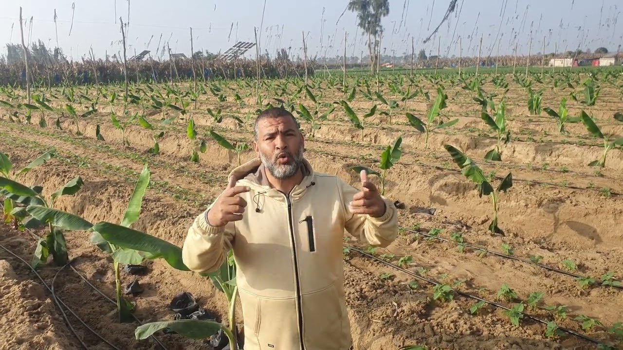 اهم نصايح الموسم الجديد(اهم الاعمال فى شهر مارس)