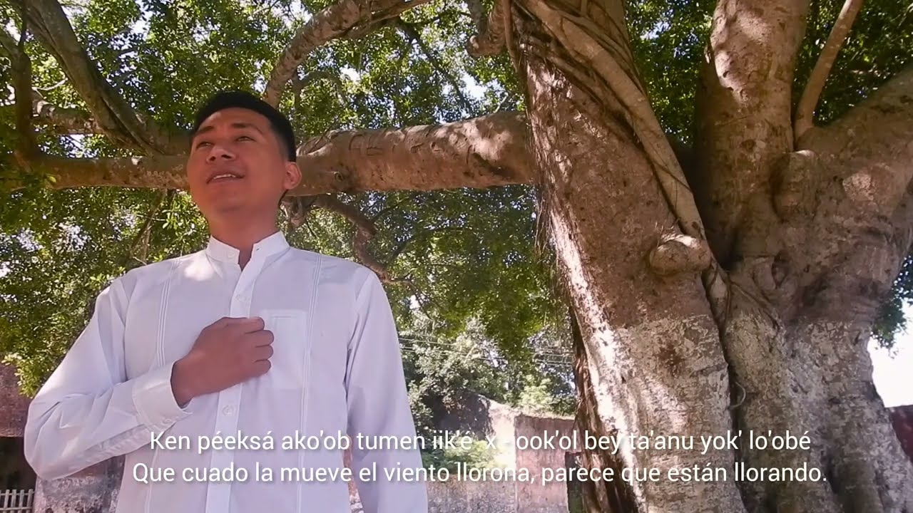 La llorona en lengua maya                  