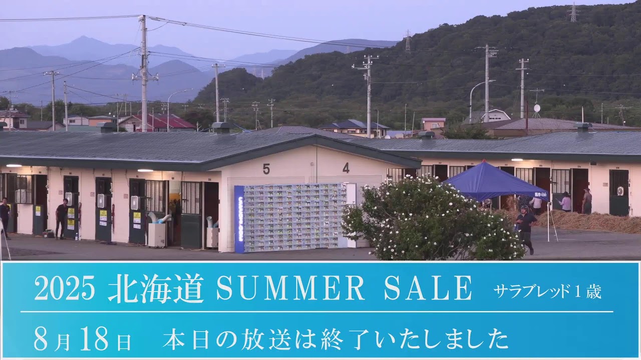 2025 北海道サマーセール1日目　生中継