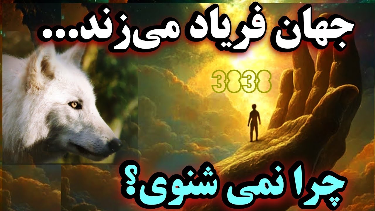 جهان در گوش تو فریاد می‌زنه… چرا نمی‌شنوی؟ | نشانه‌ها، شواهد، حیواناتِ قدرت، با تو حرف دارند.