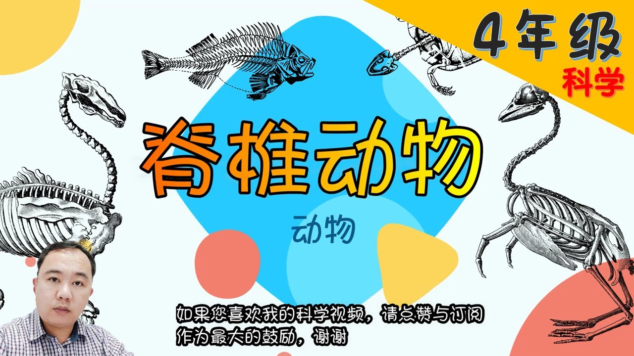 【脊椎动物】| 【动物 PART 2/2】4年级 | KSSR | TSLAU