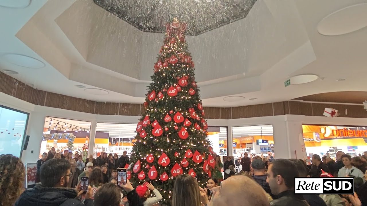 Scalea, Natale al Mulino Center: l’albero si illumina con il messaggio della Fidas