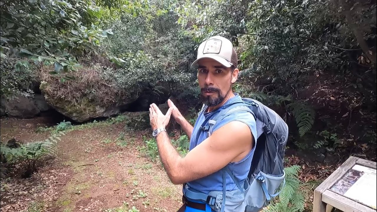 LA PALMA: Don't miss this hiking trail when you're here on holiday. (La Magia del Agua. San Antonio)