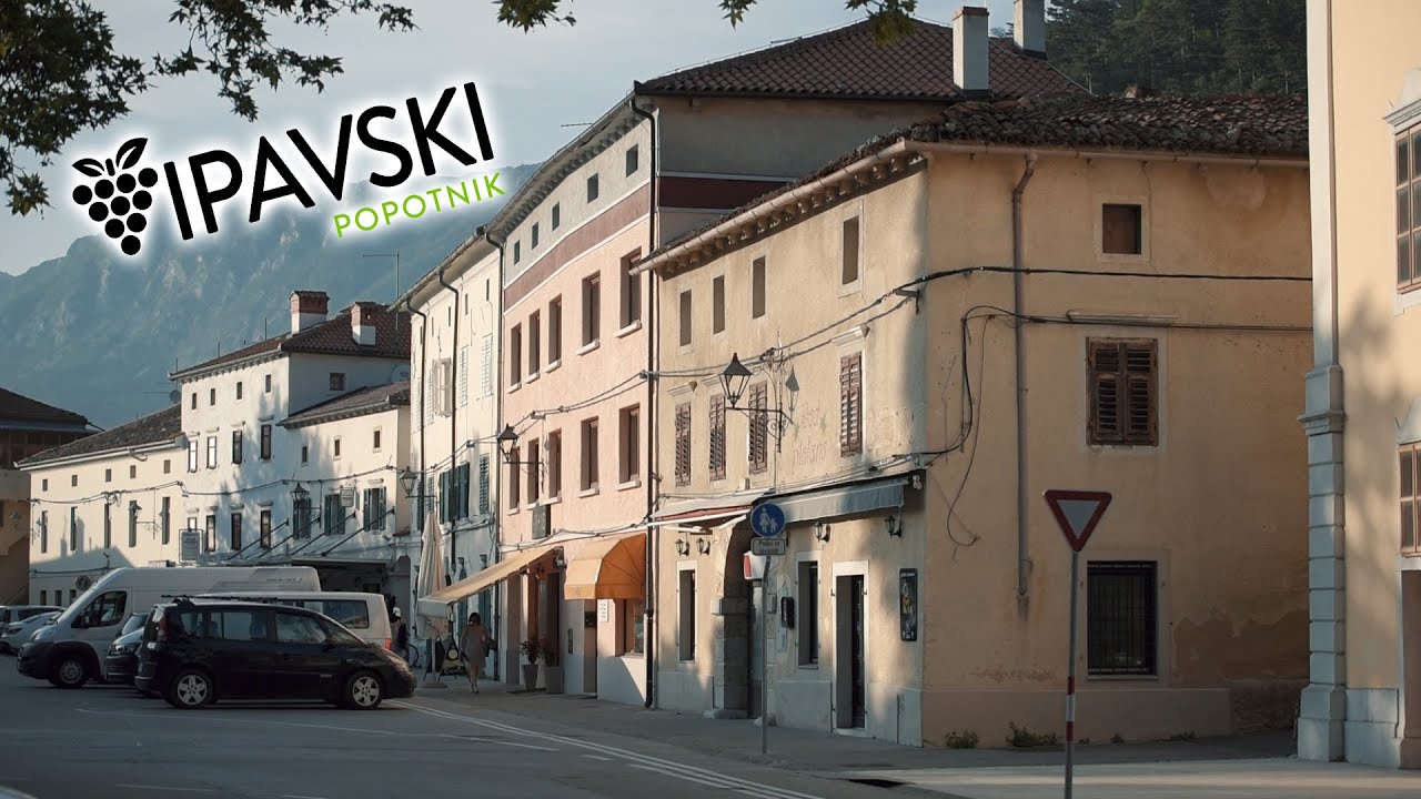 Vipavski popotnik (2020)