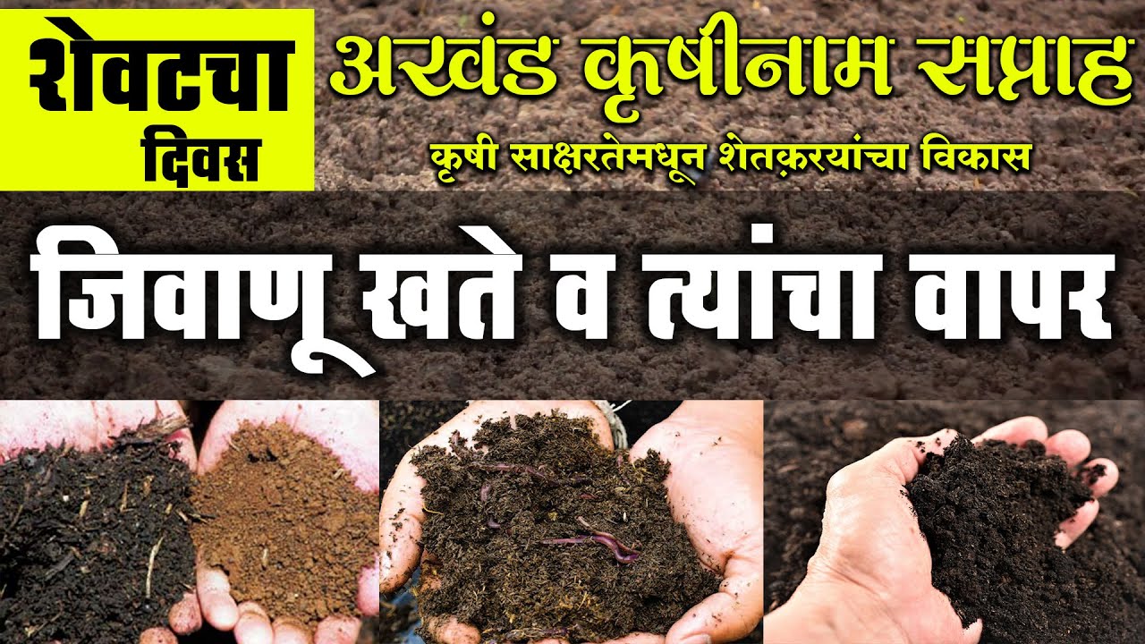 जिवाणू खते व त्यांचा वापर #जिवाणूखते #सेंद्रियशेती #ORGANICFARMING #खते #शेती #शेतकरी