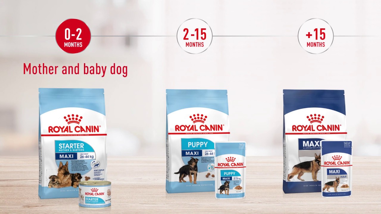 Royal Canin | Size Health Nutrition | Maxi