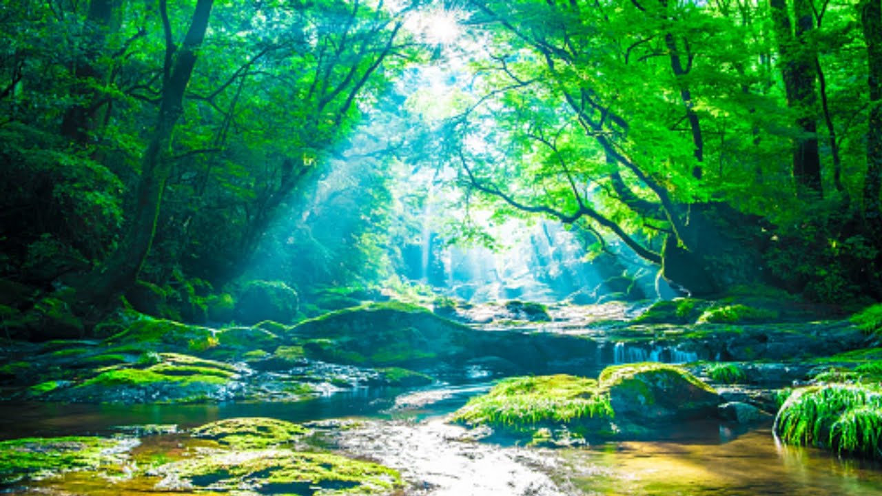 musik piano menenangkan - musik tidur,musik menenangkan hati,relaxing sleep music, musik meditasi