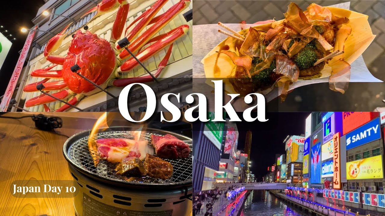 Osaka Dotonbori & DenDen Town: Worst Meal in Japan, Food Heaven, Shopping, Arcades | Japan Day 10