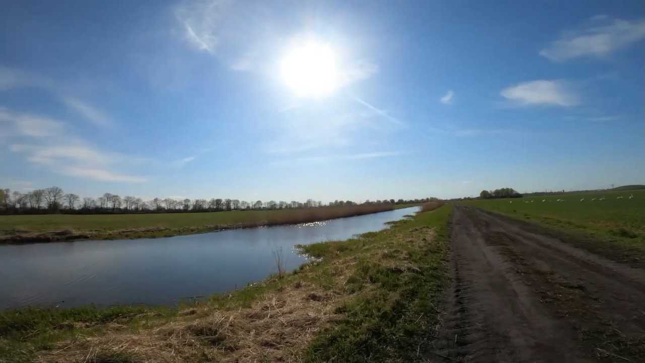 Spaziergang über die Elbdörfer am 19.04.2022