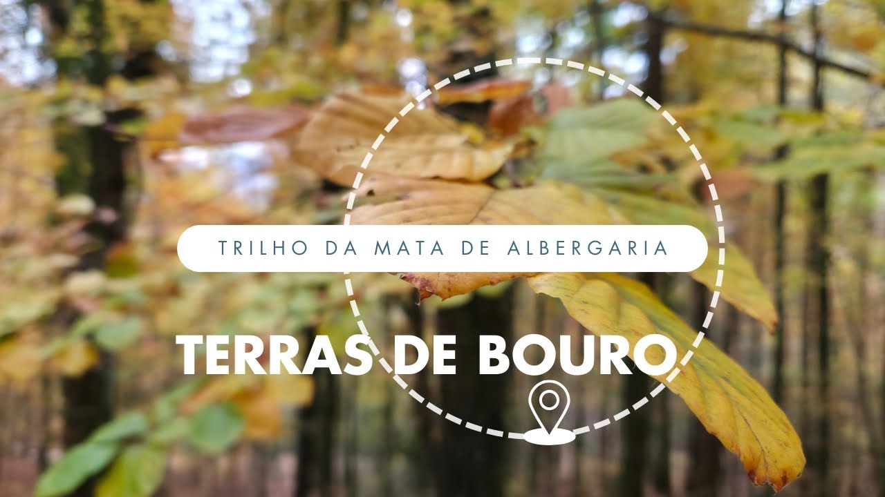 Trilho da Mata da Albergaria | TERRAS DE BOURO - GERÊS