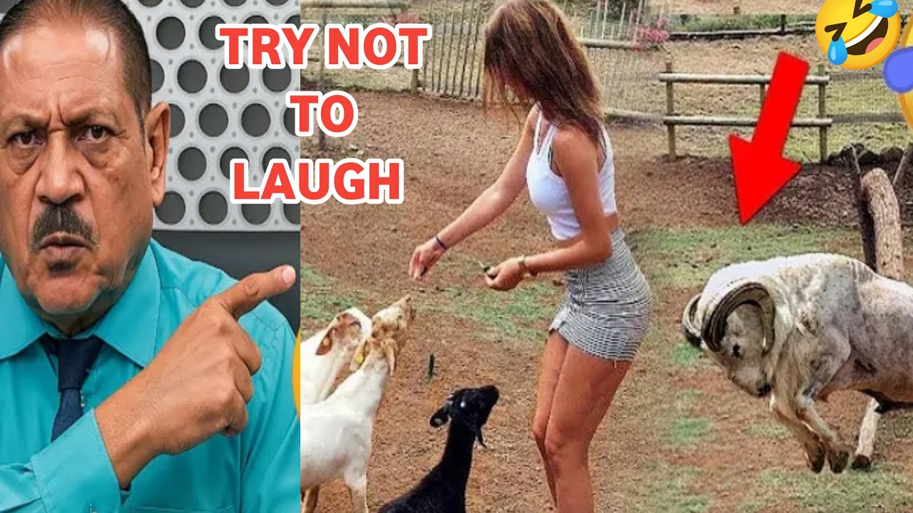 Попробуйте не засмеяться! 🤣 | Самое смешное видео в мире. Эпизод 49
