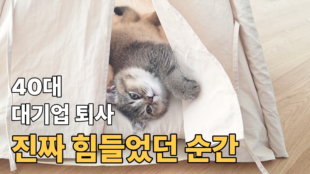 40대 워킹맘 대기업 퇴사 후 진짜 힘들었던 순간